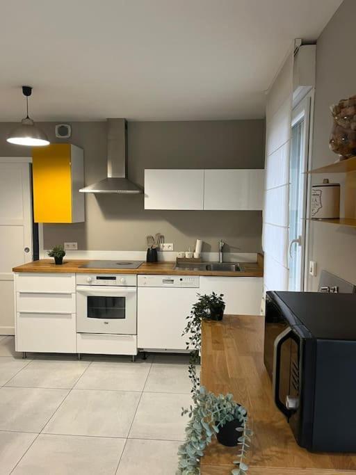La Maison Du Bonheur 70 M² Saint-Amand-les-Eaux Exterior foto